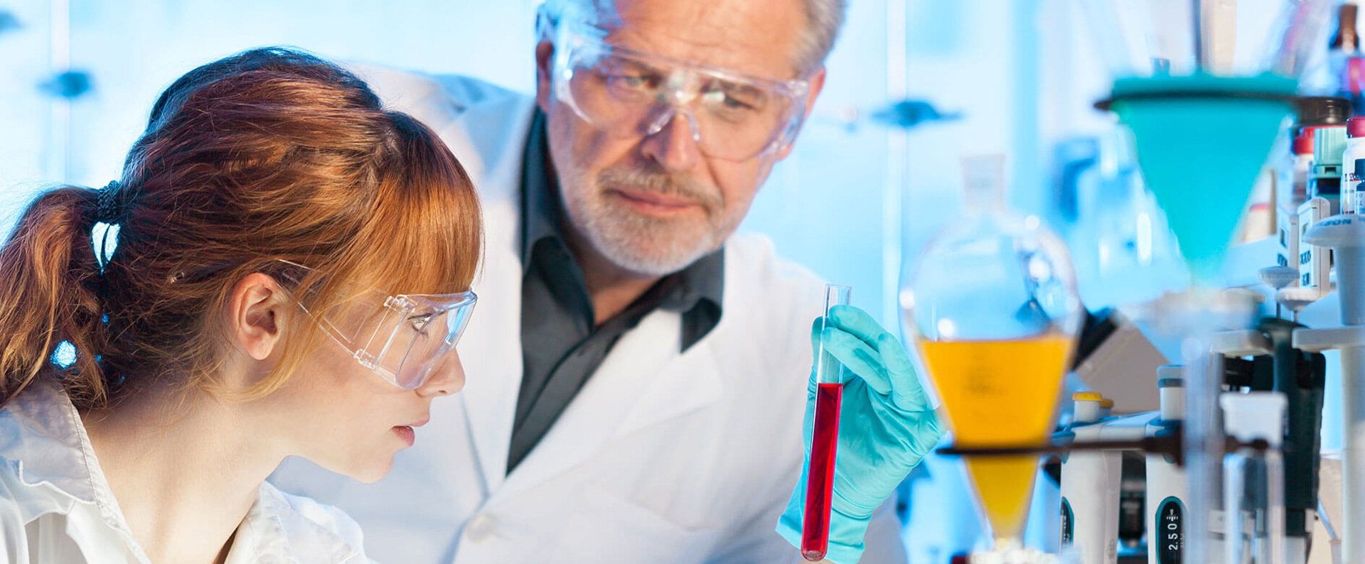 Berkeley Immune Support Formula