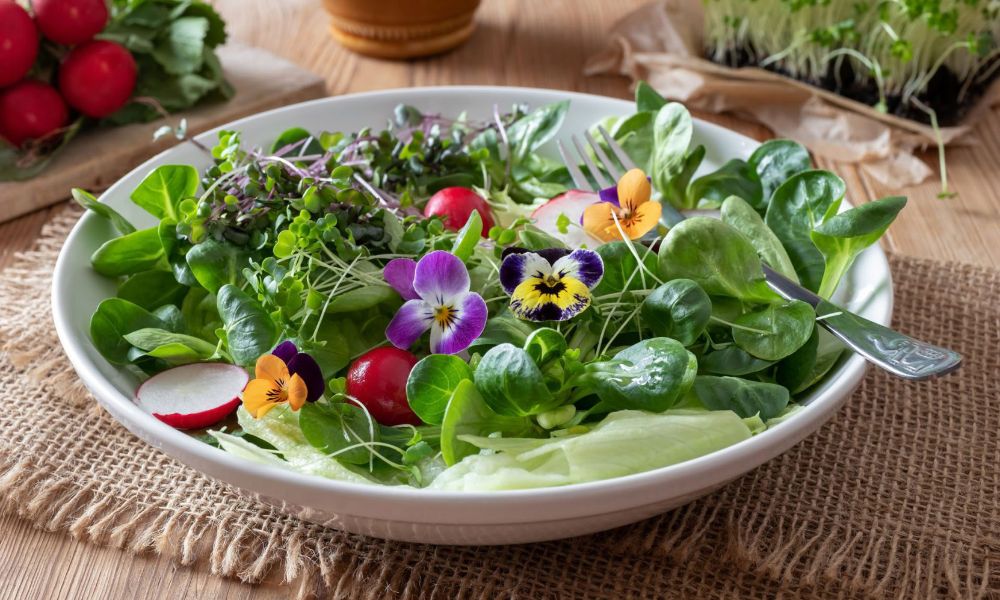 The Berkeley Immune Support Formula